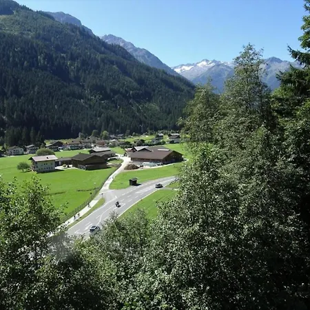 Schoeneben Schoeneck Wald im Pinzgau